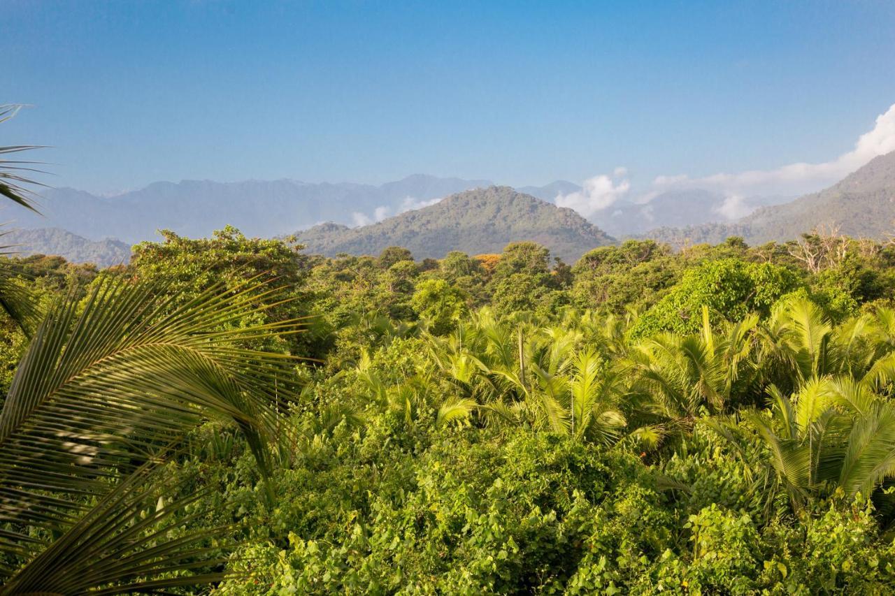 Guest house Bohemia Tayrona